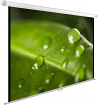 Экран CACTUS 150x200см WallExpert 4:3 настенно-потолочный рулонный (CS-PSWE-200X150-WT)