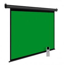 Экран CACTUS 200x200см GreenMotoExpert 1:1 настенно-потолочный рулонный (CS-PSGME-200X200)