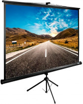 Экран CACTUS 160x160см TriExpert 1:1 напольный рулонный черный (CS-PSTE-160X160-BK)