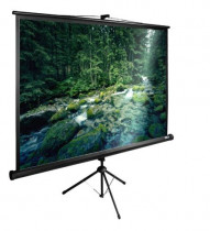 Экран CACTUS 165x220см TriExpert 4:3 напольный рулонный черный (CS-PSTE-220X165-BK)