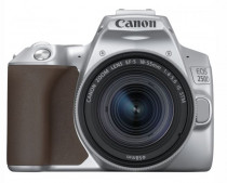 Фотокамера CANON EOS 250D серебристый 24.1Mpix EF-S 18-55mm f/1:4-5.6 IS STM 3