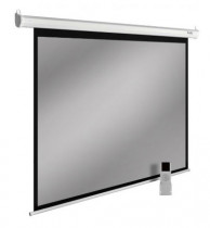 Экран CACTUS 138x220см SIlverMotoExpert 16:10 настенно-потолочный рулонный тёмно-серый (моторизованный привод) (CS-PSSME-220X138-DG)