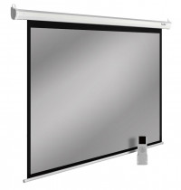 Экран CACTUS 150x200см SIlverMotoExpert 4:3 настенно-потолочный рулонный белый (моторизованный привод) (CS-PSSME-200X150-WT)
