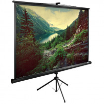 Экран CACTUS 220x220см TriExpert 1:1 напольный рулонный черный (CS-PSTE-220X220-BK)