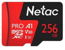 Карта памяти NETAC MicroSDXC P500 Extreme Pro 256GB, Retail version card only (NT02P500PRO-256G-S)