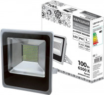 Прожектор TDM светодиодный СДО100-2-Н 100 Вт, 6500 К, серый (SQ0336-0210)
