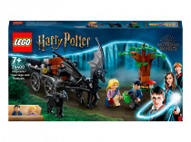 Конструктор LEGO Harry Potter Карета и фестралы Хогвартса (76400)